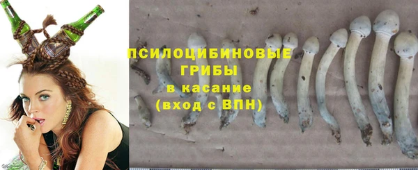 круглые Снежногорск