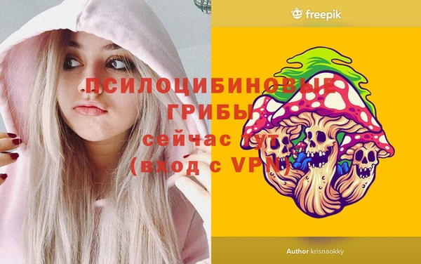 круглые Снежногорск