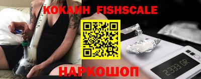 мдпв Камышлов