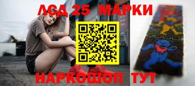мдпв Камышлов