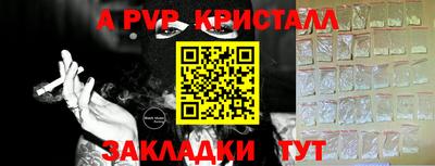 мдпв Камышлов