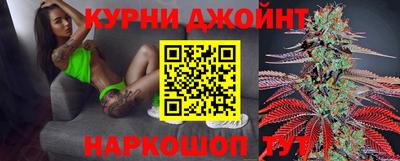 мдпв Камышлов
