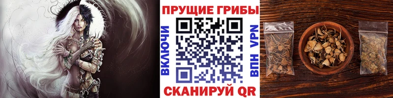 дарнет шоп  Иркутск  Галлюциногенные грибы ЛСД 