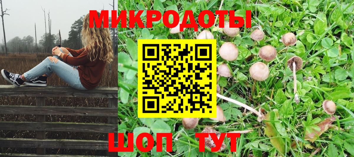 Псилоцибиновые грибы Cubensis  Псилоцибиновые грибы MAGIC MUSHROOMS  Вход с VPN  Иркутск 